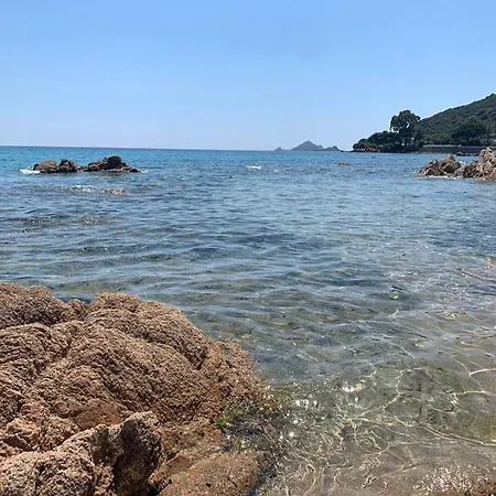 Апартаменты D'une A Ajaccio A 50 M De La Avec Piscine Partagee Jacuzzi Et Terrasse